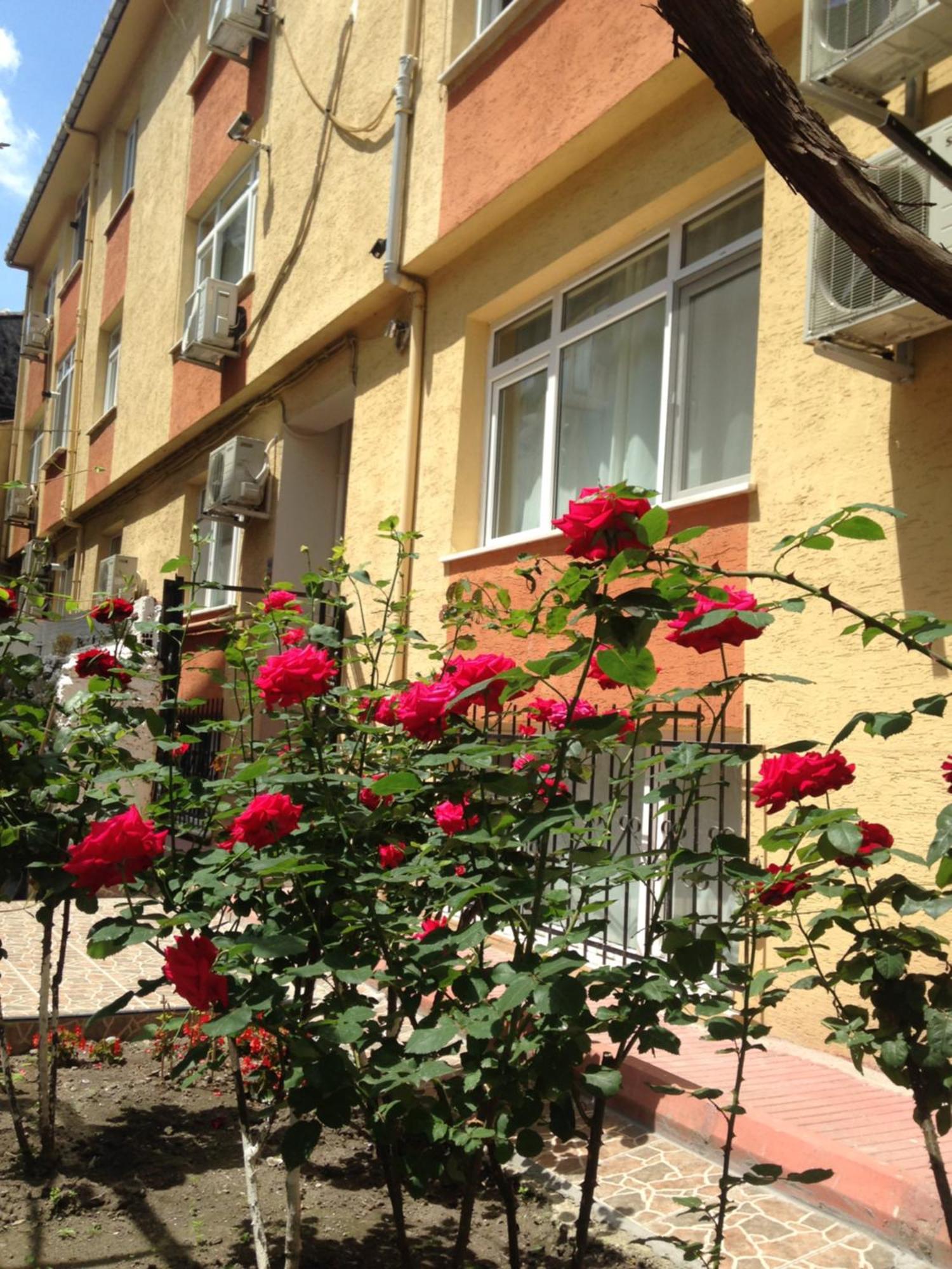 Sultanahmet Deluxe Yilmaz Apart Istanbul Bagian luar foto